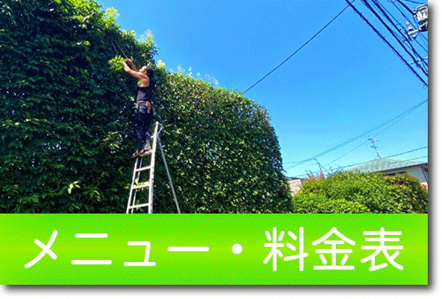 メニュー・料金表