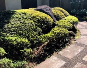 お庭まかせ隊です！