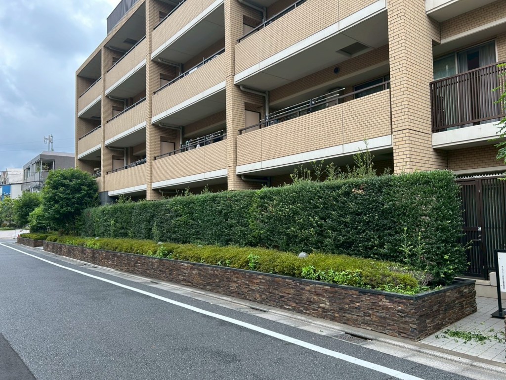 さつき、ツゲの刈り込み～渋谷区の植木屋お庭まかせ隊～