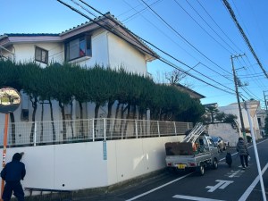 カイヅカイブキの刈り込み～渋谷区の植木屋お庭まかせ隊～
