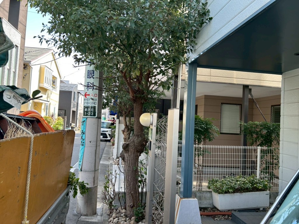 クスノキの伐採～渋谷区の植木屋お庭まかせ隊～