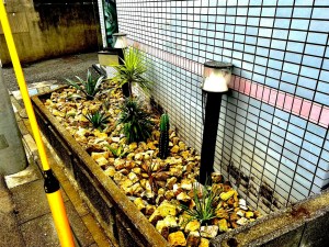 ドライガーデン作庭～渋谷区の植木屋お庭まかせ隊～