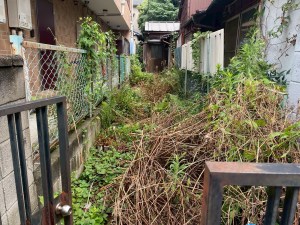 戸建の雑草除去・草取り~渋谷区の植木屋お庭まかせ隊~